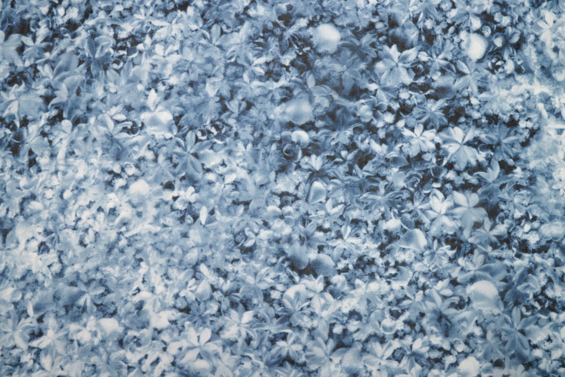 Organza Pure Silk