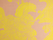 Chiffon Pure Silk