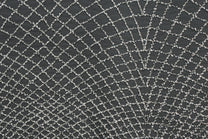 Tulle avec petit motif toile d&#39;araignée et bords