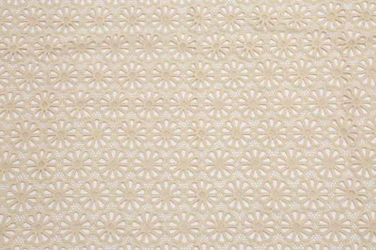 Dentelle de Jaipur 