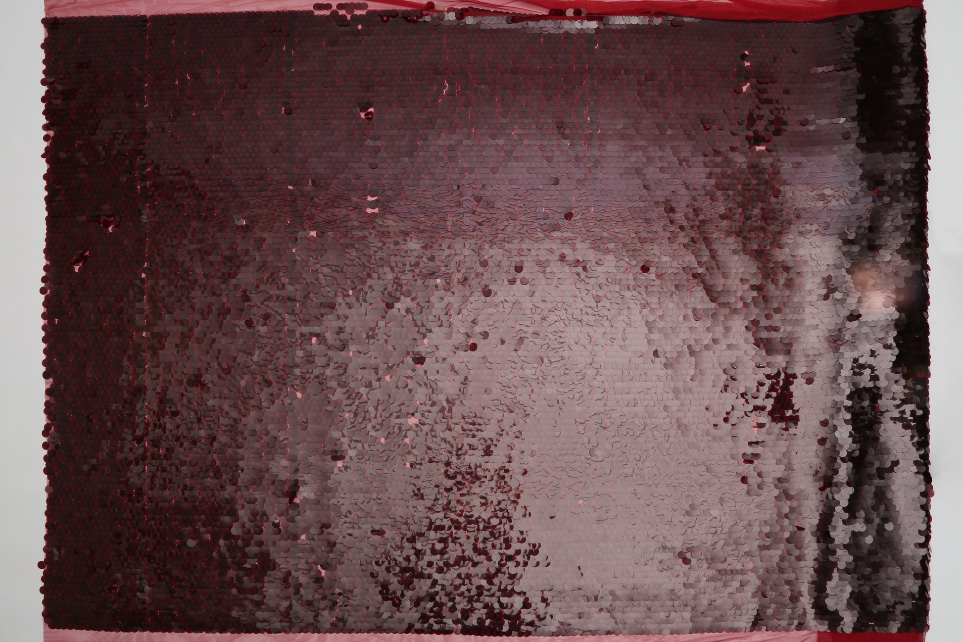 Défilé de tulle