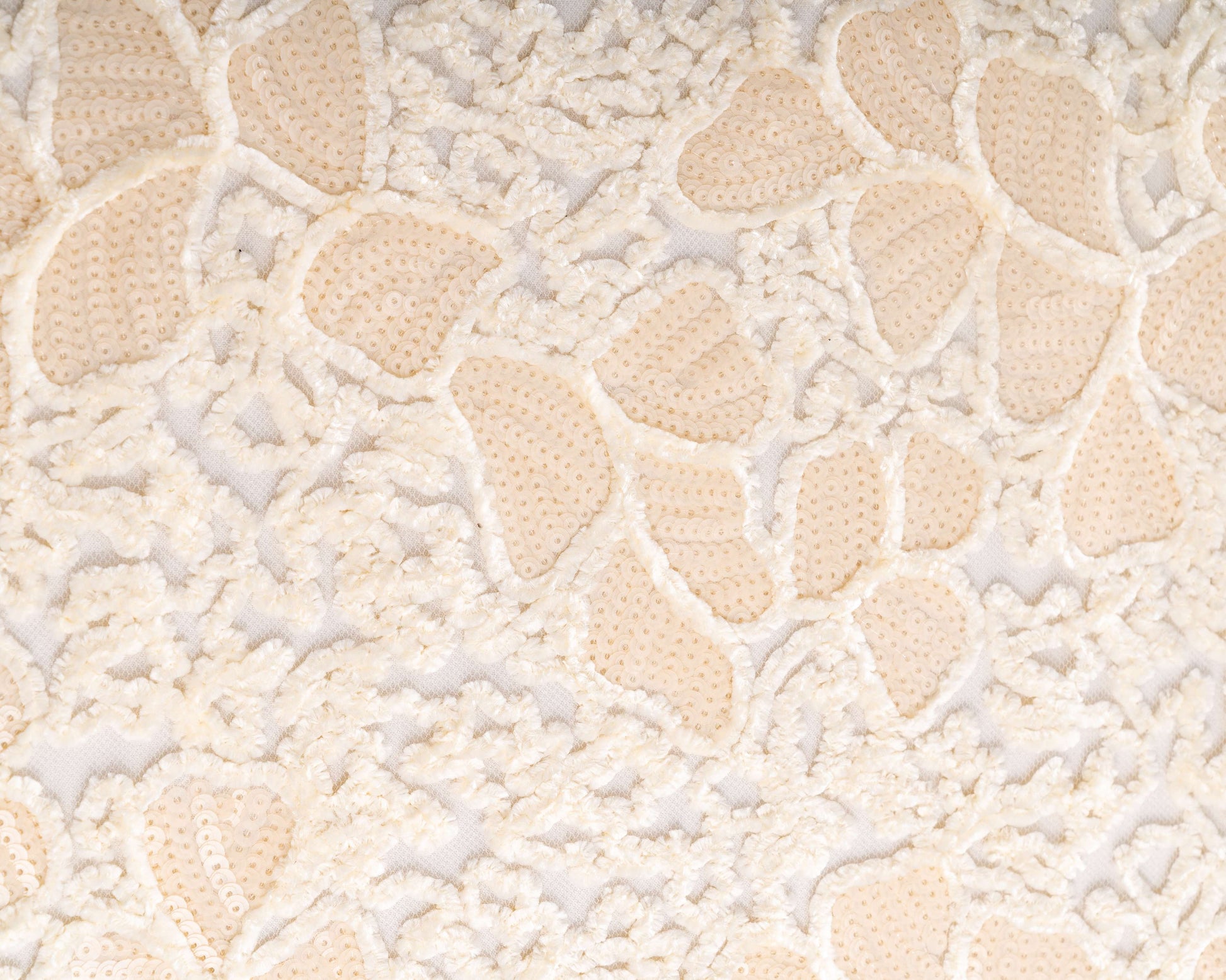 Velvet embroidered tulle with sequins