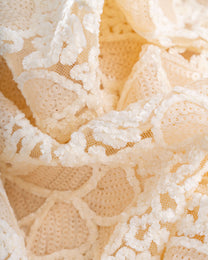 Velvet embroidered tulle with sequins