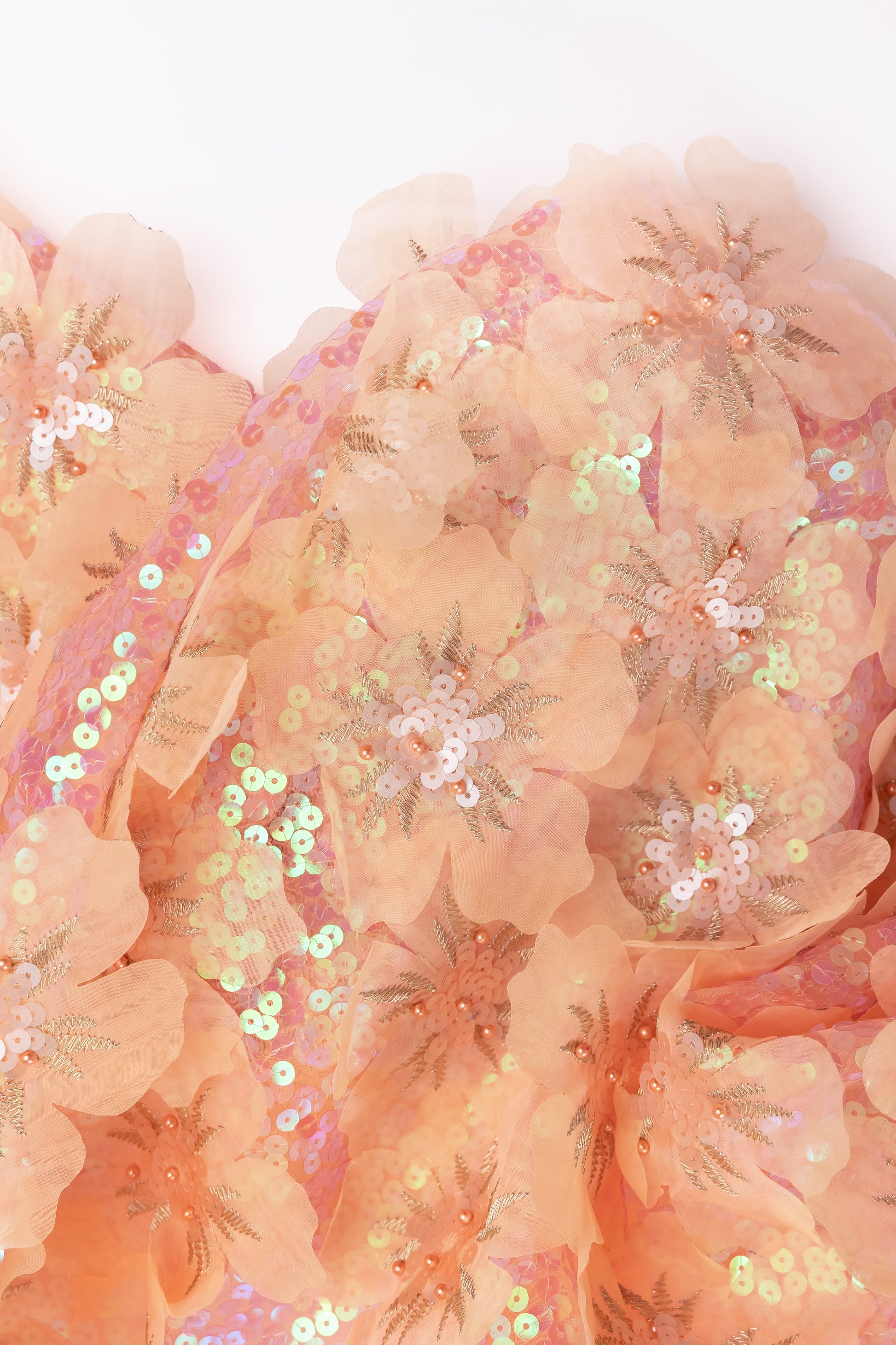 Organza Pure Silk With Organza Floral Pattern