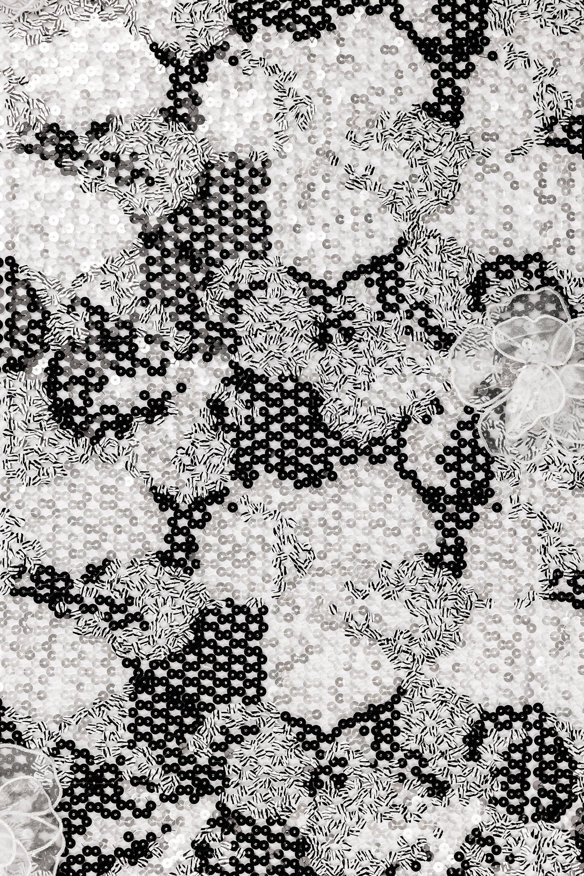 Gibber with Sequins With Floral Organza