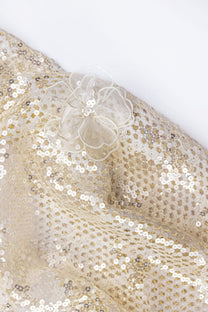Gibber with Sequins With Floral Organza