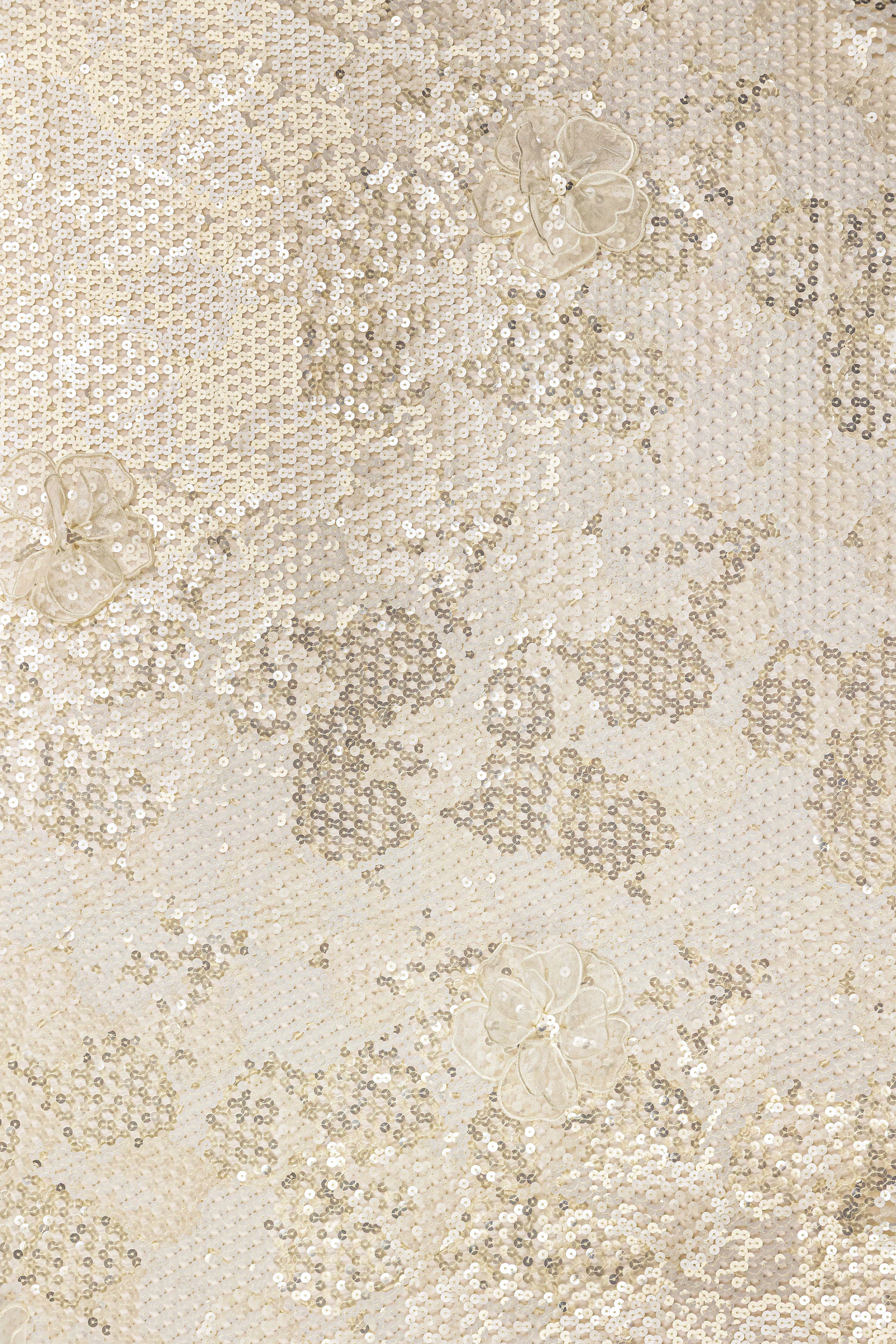 Gibber with Sequins With Floral Organza