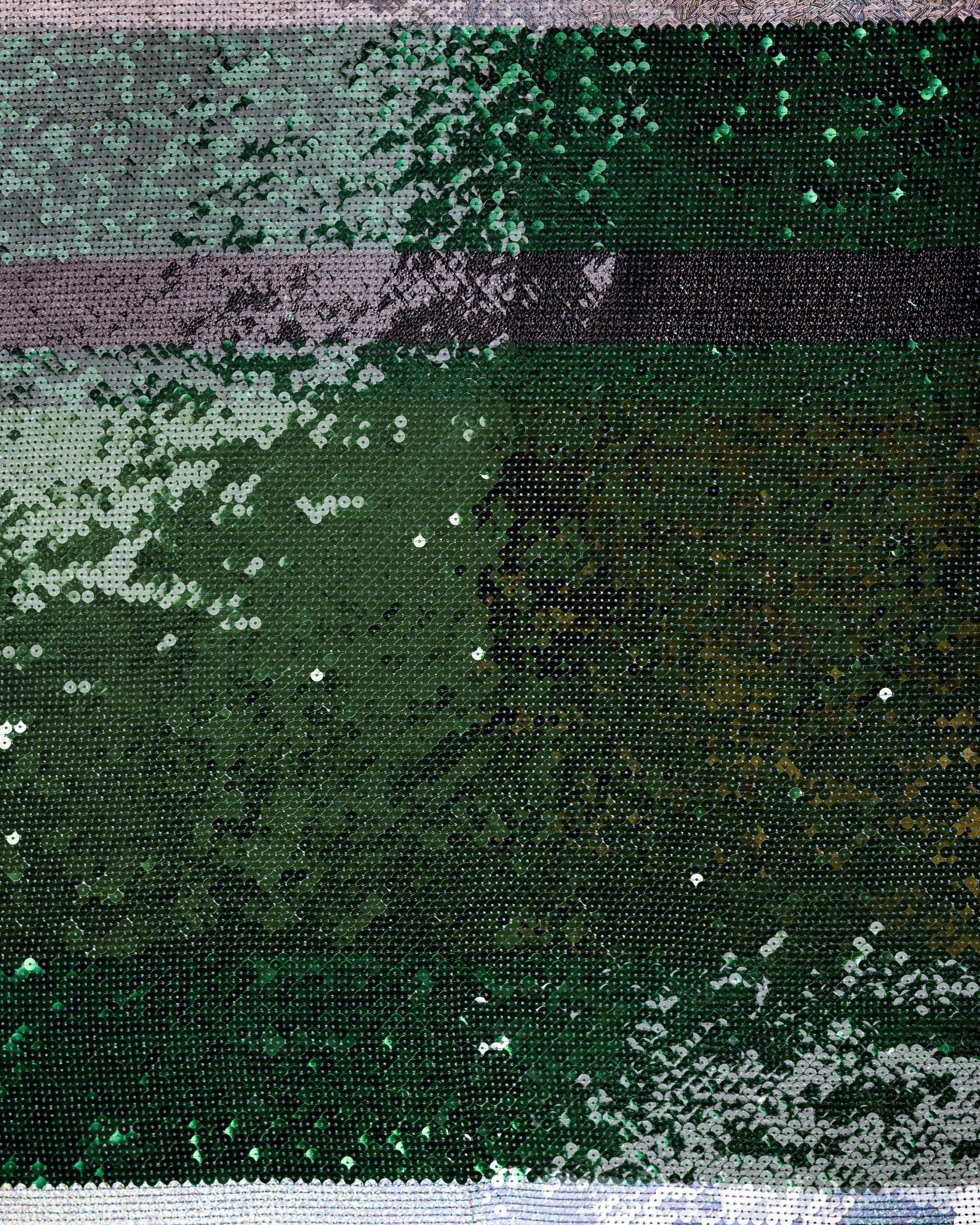 Silk Lurex Sequin Fabric