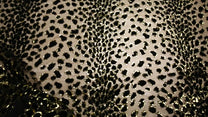 Tulle Voile